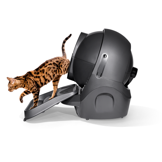 Whisker Litter-Robot 3 Rampe Grau