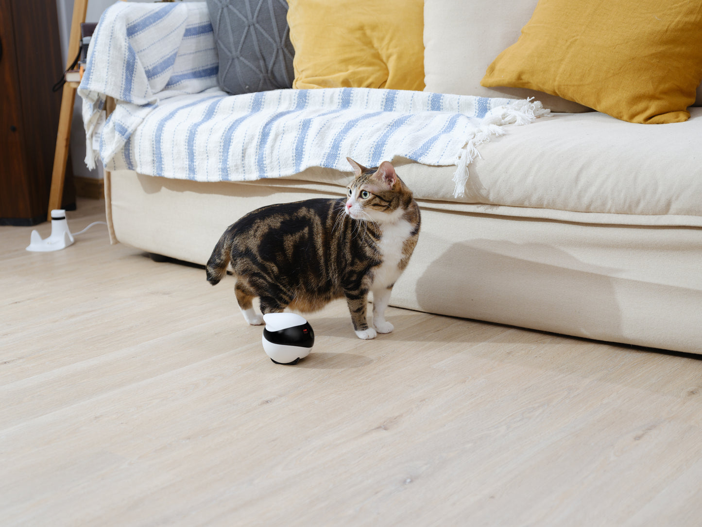 Enabot Ebo Se - interactive pet camera