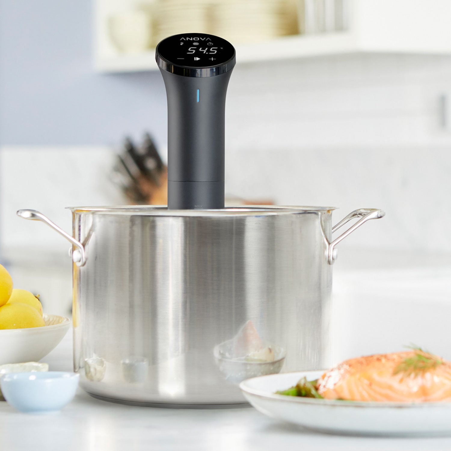 Anova Precision outlet Cooker